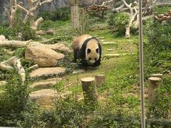 -石排湾郊野公园