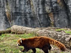 -武汉动物园
