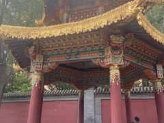 -护国法轮寺