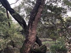 -绮园景区