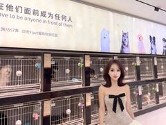 -翊宠yipet猫狗购宠庄园