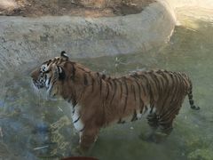 -昆明动物园
