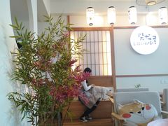 -柴犬小屋·柴餐厅·狗咖食堂(金鼎广场店)