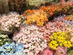 -循礼门鲜花花市(武汉循礼门店)