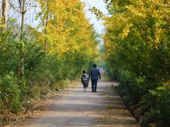 -白鹭湾湿地公园