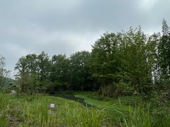 -桤木河湿地公园