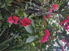 android_upload_pic-厦门悦华酒店