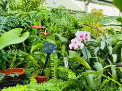 -国家植物园南园