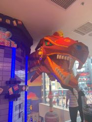 -乐高品牌旗舰店(人民广场店)