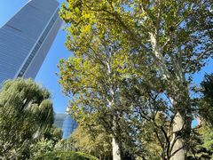 -静安公园(静安寺街道)