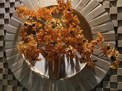 -Dragonfly 悠庭·按摩Spa(苏州中心广场店)