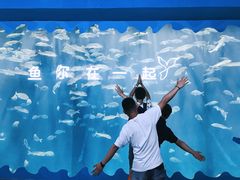 -秦皇岛乐岛海洋王国