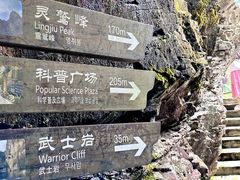 -楠溪江石桅岩