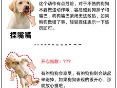 -翊宠yipet猫狗购宠庄园