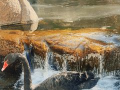 -罗红摄影艺术馆