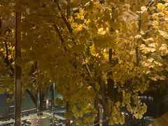 -丽晶大班SPA(大沽店)