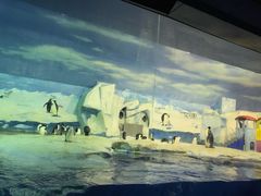 -亚特兰蒂斯水世界冒险乐园