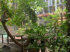 -The Flowers Coffee(南山店)