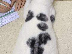 -芭比堂动物医院广州顽皮分院