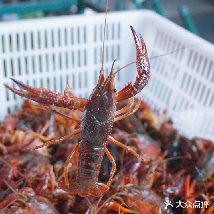 🦞吃遍南京的小龙虾馆也想安利这家~