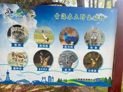 -青藏高原野生动物园