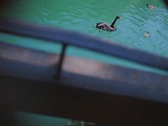 -颐和园西门停车场