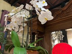 -南园民国茶楼餐厅·常州菜(北大街店)