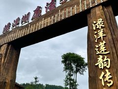 -渌洋湖湿地公园