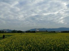 -光明小镇欢乐田园