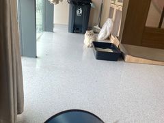-谐和贝康宠物医院24小时·宠保定点(急重症转诊中心)