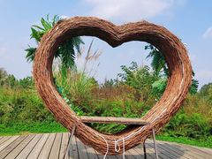 -桤木河湿地公园