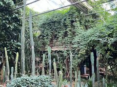 -北京中信金陵酒店