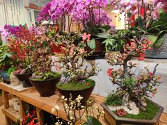 -双季花艺园艺市场(浦东店)