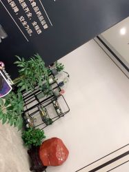 -加减美医美连锁品牌