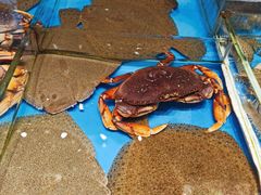 -百富源·海鲜辽菜(和平北大街店)