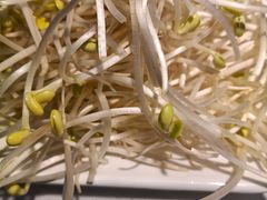 -古乐牛香·鲜牛肉牛杂火锅(吴江三里桥运东商业广场店)