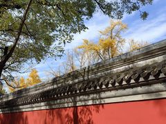 -北京国子监胡同