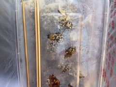 -老王豆皮