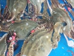 -宾朋海鲜特色美食餐厅·纯手工鲅鱼水饺(兴海路店)