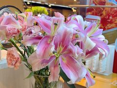 -海底捞火锅(新华联梦想城店)