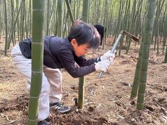 -同里国家湿地公园