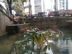 景观位-同心楼(解放北路店)