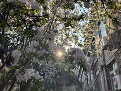 -中央民族大学