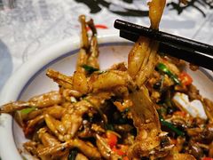 -壹盏灯(惠农店)