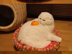 -长安大学(北校区)