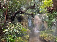 -Chom Cafe and Restaurant