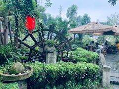 -青城甲(青城山店)