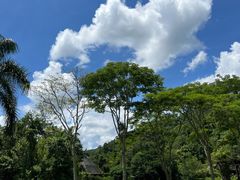 -野象谷景区