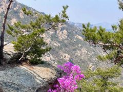 -崂山仰口游览区