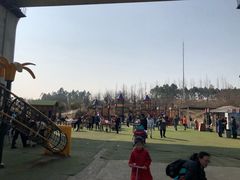 -秀丽东方